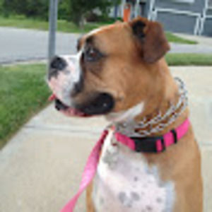 Meet your Posher, Catherine